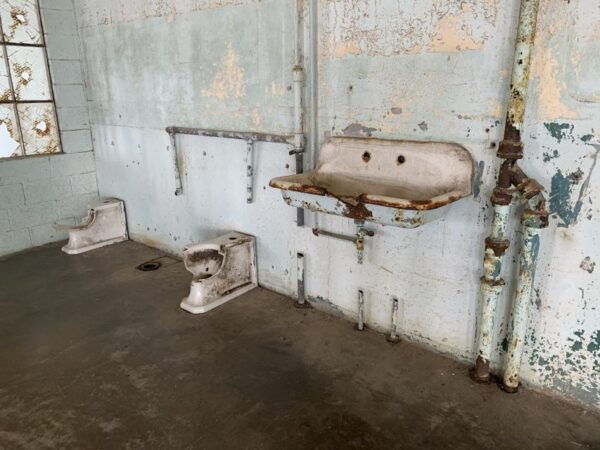 San Francisco: Muir Woods, Sausalito & Alcatraz Guided Tour - Choose Your Order