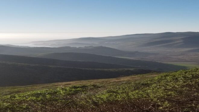 San Francisco: Muir Woods, Sausalito, and Sonoma Wine Tour - Itinerary