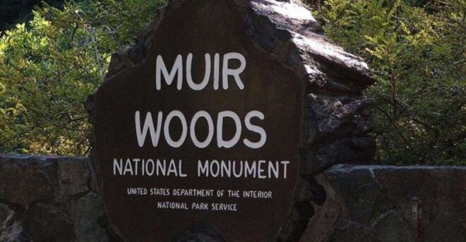 San Francisco: Muir Woods, Sausalito, and Tiburon Day Trip - Golden Gate Bridge
