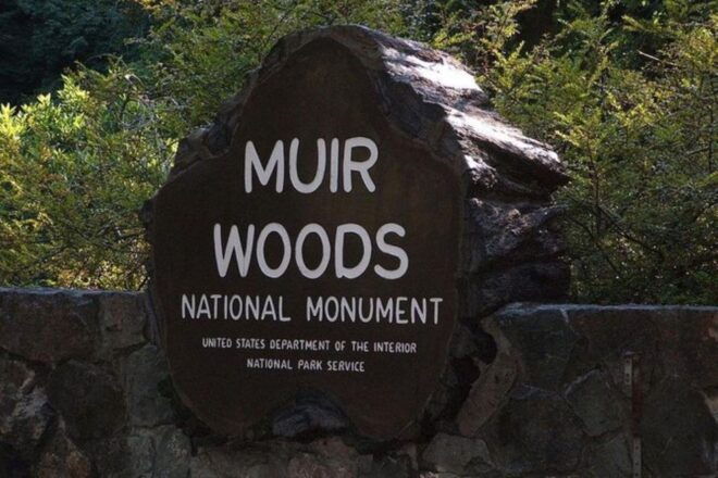 San Francisco: Muir Woods, Sausalito, and Tiburon Day Trip - Tiburon