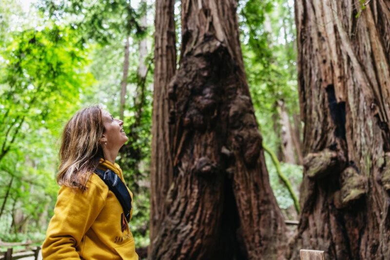 San Francisco: Muir Woods & Sausalito Tour with Ferry Option - Transportation & Practical Details