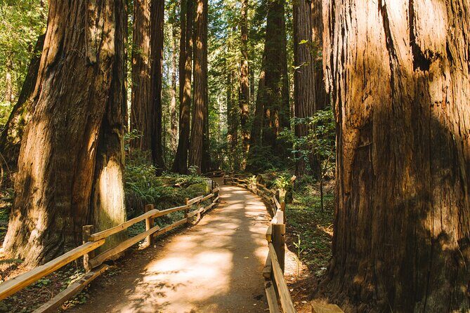 San Francisco Muir Woods Tour and Bike The Golden Gate Bridge - A Closer Look at the Itinerary