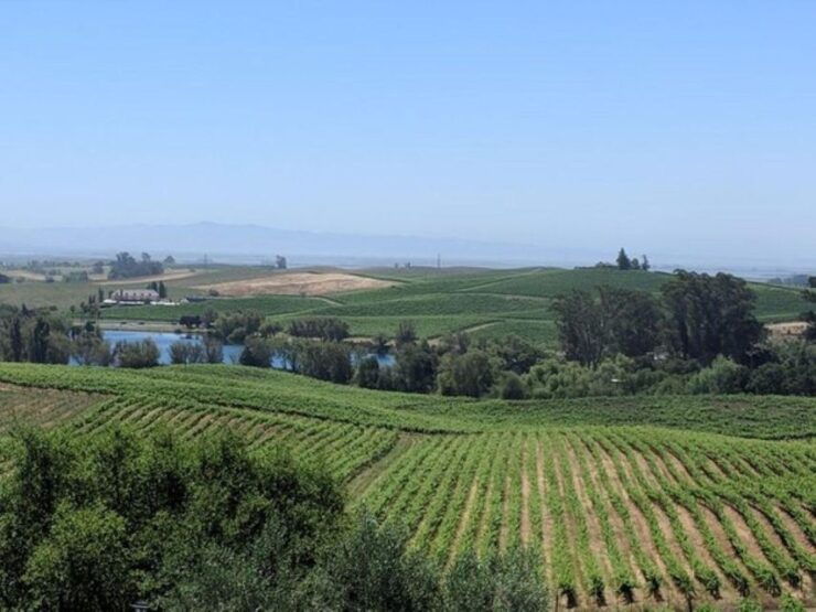 San Francisco: Napa and Sonoma Valley Private Wine Tour - Experience