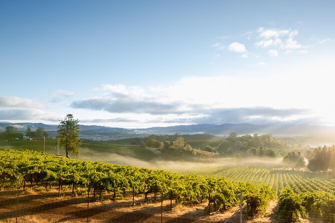 San Francisco Napa and Sonoma Valley Wine Tour - Whats Included