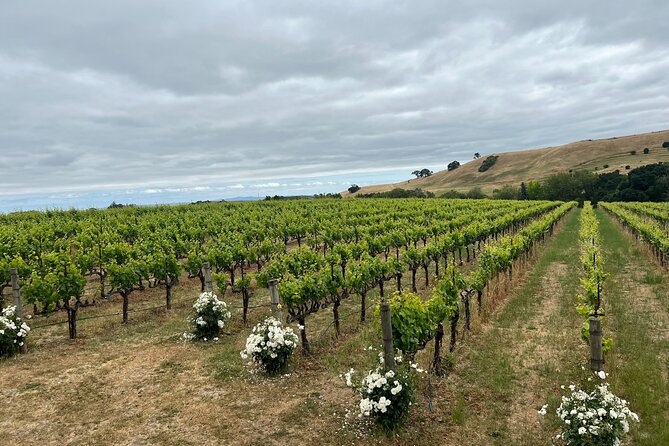 San Francisco Napa and Sonoma Valley Wine Tour - Meeting and Pickup Details