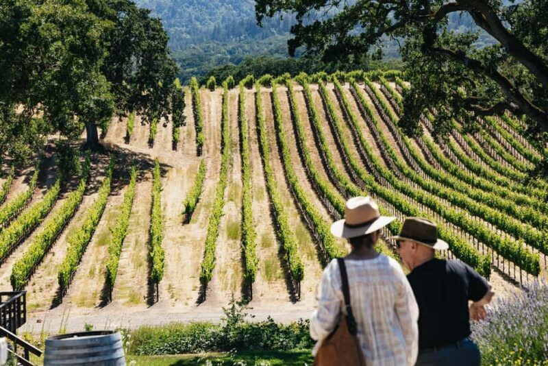 San Francisco: Napa and Sonoma Valley Wine Tour - Who Would Enjoy This Tour?