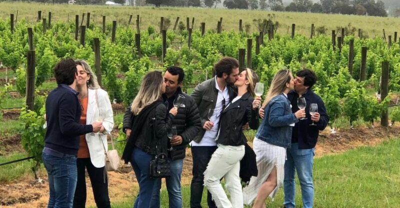 San Francisco: Napa Valley Half-Day Wine Tour with Tastings - Good To Know