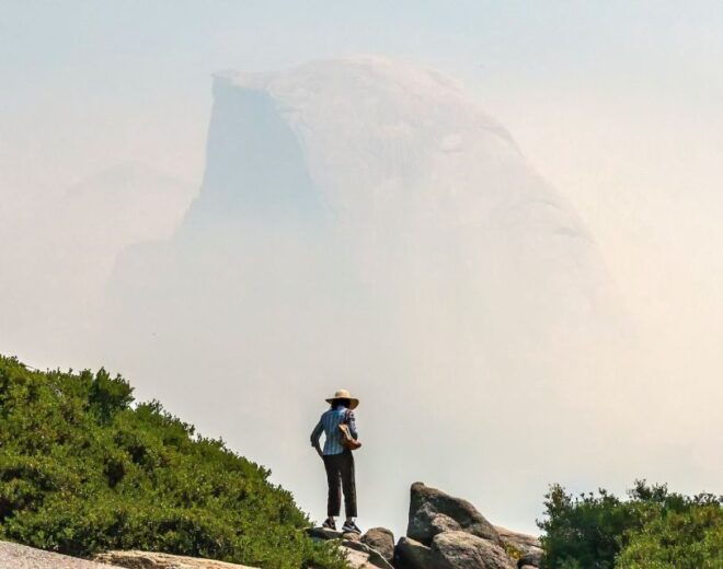 San Francisco/Pleasanton: Day Trip to Yosemite National Park - Guided Tour of Yosemite Valley