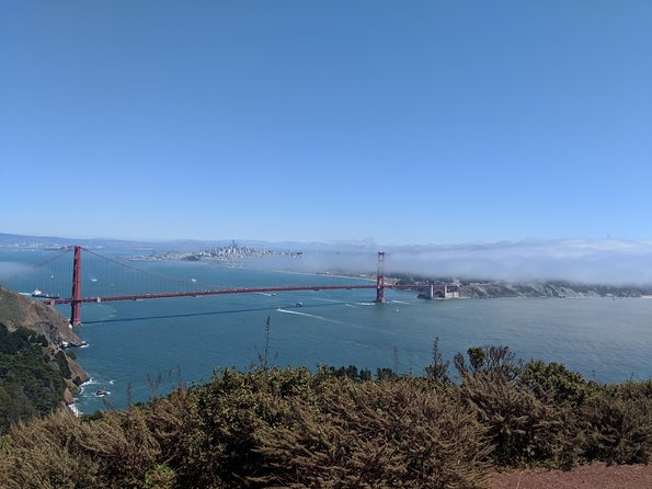 San Francisco Private City Tour - Traveler Experiences