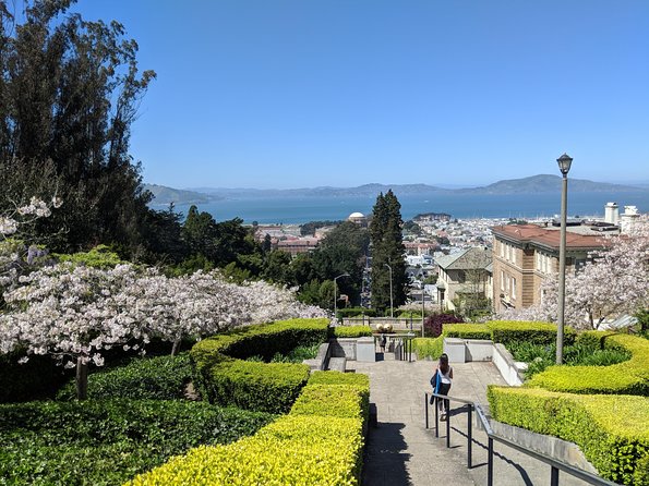 San Francisco Private City Tour - Common Questions