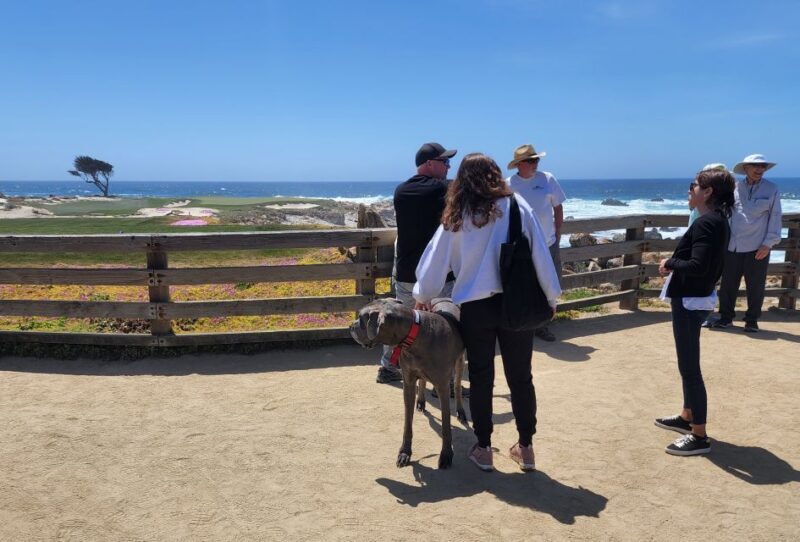 San Francisco: Private Monterey Aquarium 17 Mile Carmel - Final Thoughts