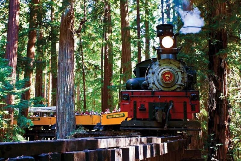 San Francisco: Redwood Forest & Santa Cruz Harbor 1-Day Trip - The Experience: Practical Details and Traveler Insights
