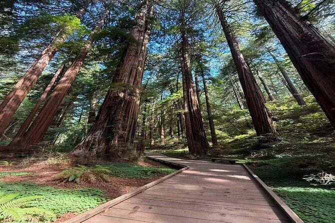 San Francisco, Redwoods & Sausalito: A Scenic Small-Group Escape - Good To Know