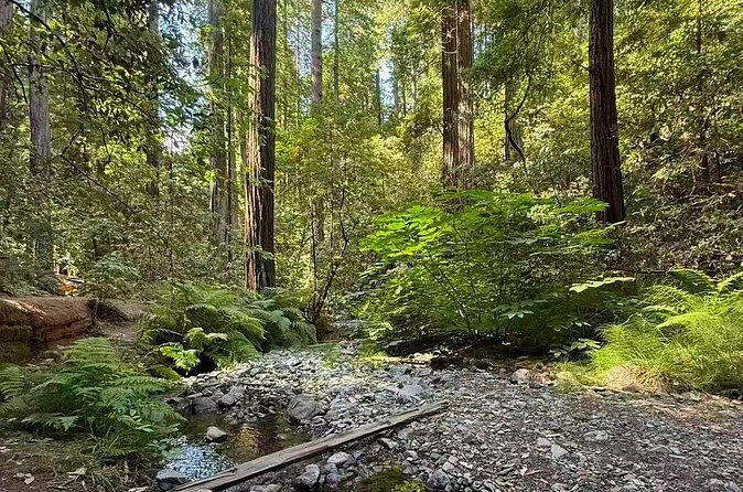 San Francisco, Redwoods & Sausalito: A Scenic Small-Group Escape - FAQ