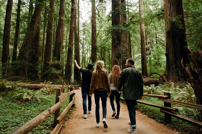 San Francisco, Sausalito, Muir Woods Bay Area Small-Group Tour - Important Information and Tips