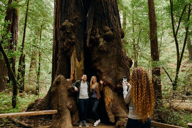 San Francisco, Sausalito, Muir Woods Bay Area Small-Group Tour - Common Questions