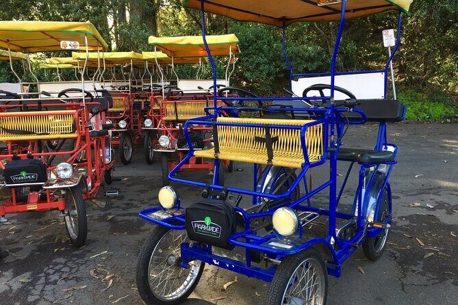 San Francisco: Scenic Surrey Ride Through Golden Gate Park - San Francisco: Scenic Surrey Ride Through Golden Gate Park — A Detailed Look