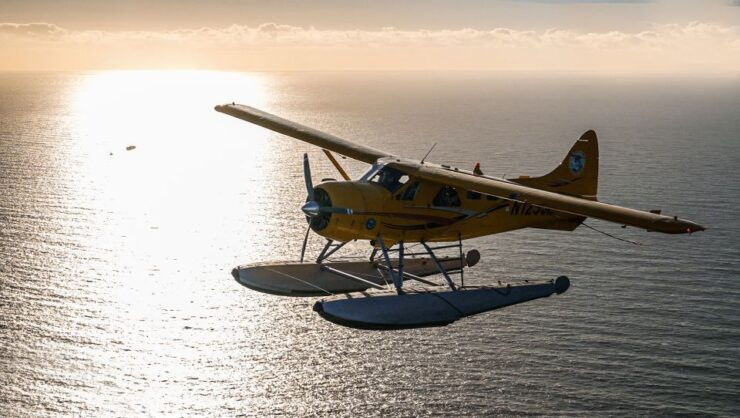 San Francisco: Seaplane Flight With Champagne - Experience