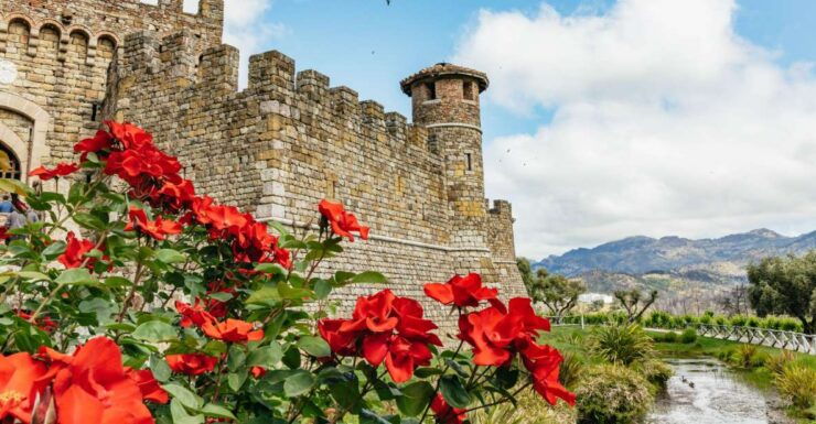 San Francisco: Small-Group Napa Valley Tour for Wine Lovers - Pickup and Logistics Details