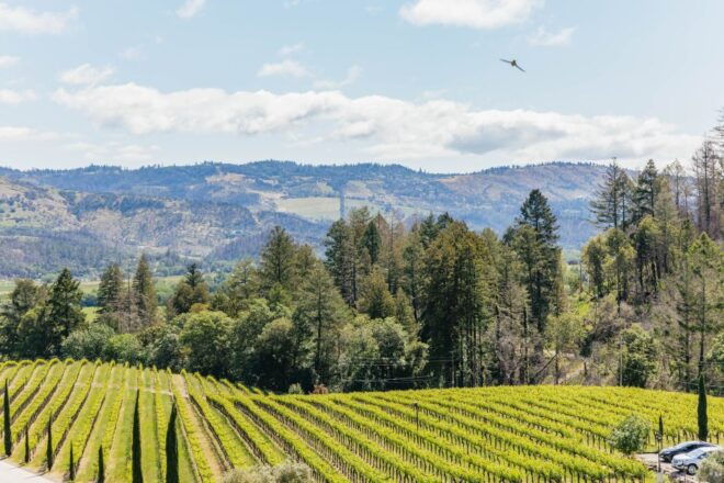 San Francisco: Small-Group Napa Valley Tour for Wine Lovers - Recommendations From Previous Customers