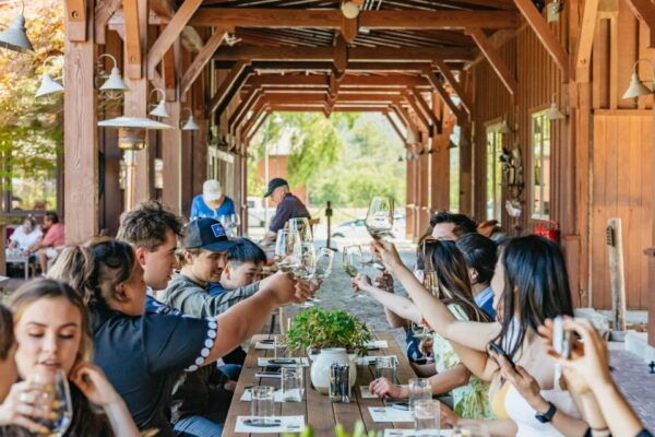 San Francisco: Small-Group Napa Valley Tour for Wine Lovers - Additional Activities and Ratings
