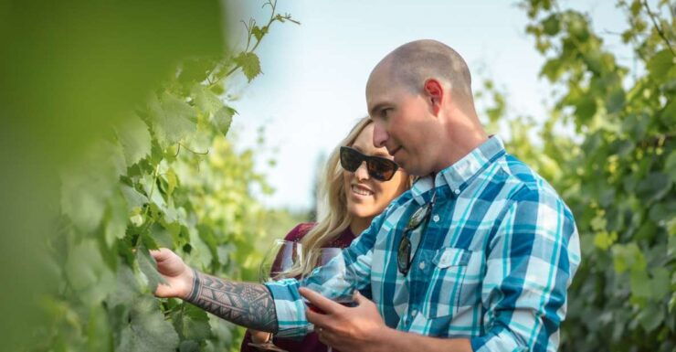 San Francisco: Small-Group Sonoma Wine Tour With Tastings - Tour Details