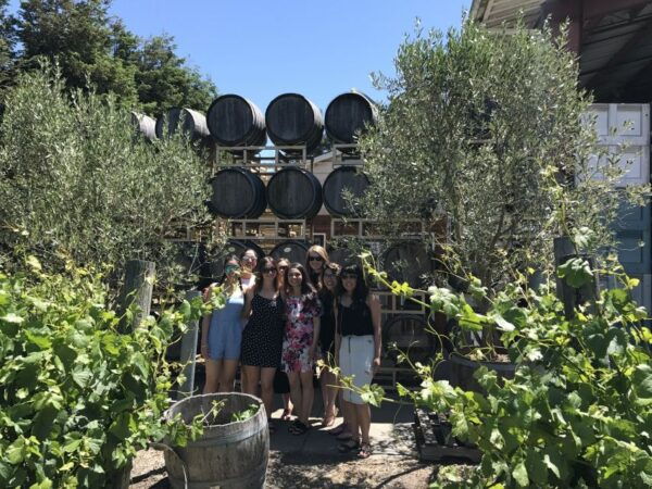San Francisco: Small-Group Sonoma Wine Tour With Tastings - Customer Reviews