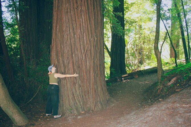 San Francisco to Santa Cruz Day Trip: Redwoods and Beach Fun - Transportation and Group Dynamics