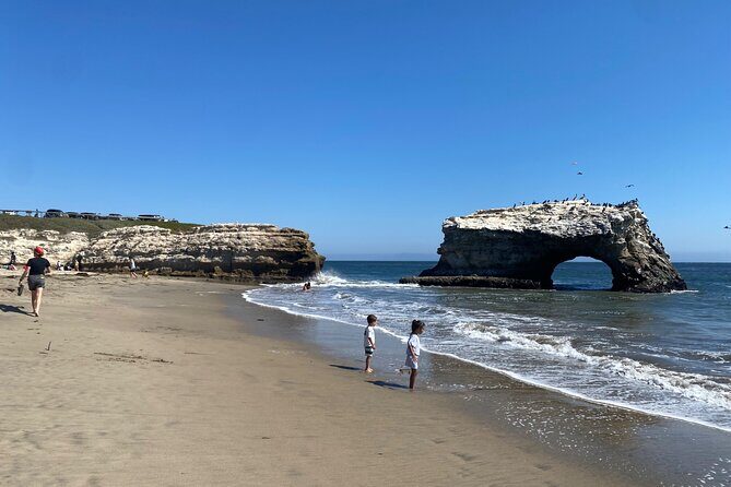 San Francisco to Santa Cruz Day Trip: Redwoods and Beach Fun - FAQ