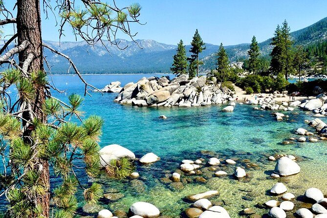 San Francisco to Yellowstone and Las Vegas 7-Day Tour - Good To Know  