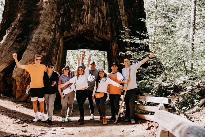 San Francisco to Yosemite One-Way Transfer - Pricing and Booking