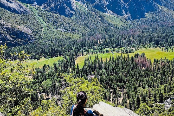 San Francisco to Yosemite One-Way Transfer - Common Questions