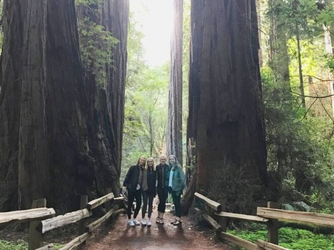 San Francisco Tour to Muir Woods Giant Redwoods & Sausalito - Reserve Now & Pay Later