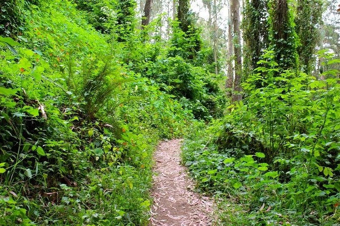 San Francisco Urban Hike: Castro and Twin Peaks - Directions