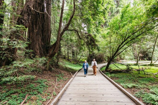 San Francisco: Wine Country Tastings Tour With Muir Woods - Customer Reviews