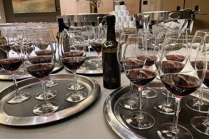 San Francisco Wine Country Tour in EV VW Van - An In-Depth Look at the Tour