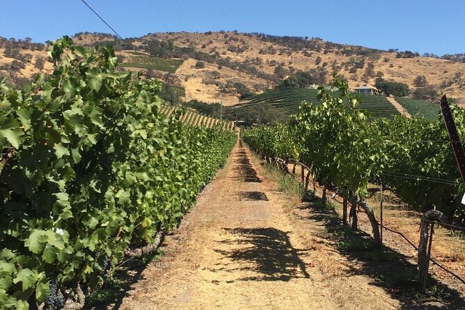 San Francisco Wine Tour With a Local Expert: 6 Tastings 100% Personalized - Six Unique Local Wine Tasters