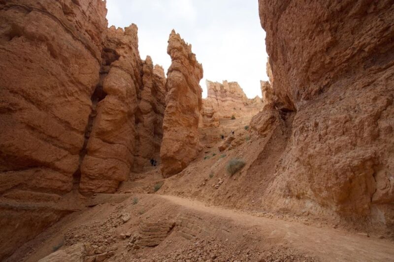 San Francisco: Yosemite, Las Vegas, Bryce & Zion, 6-Day Tour - What’s Included and What’s Not