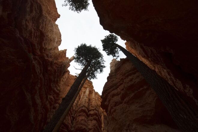 San Francisco: Yosemite, Las Vegas, Bryce & Zion 6-Day Trip - Booking and Payment Information