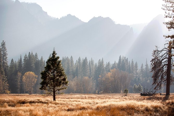 San Francisco: Yosemite National Park and Giant Sequoia Day Tour - Transportation and Tour Details