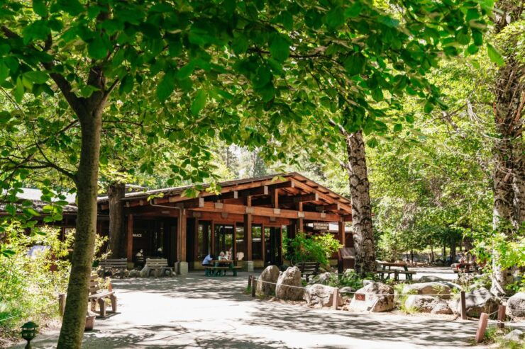 San Francisco: Yosemite National Park & Giant Sequoias Hike - Yosemite National Park: A Natural Wonder