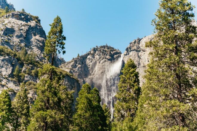 San Francisco: Yosemite National Park & Giant Sequoias Hike - Customer Reviews: What Others Are Saying