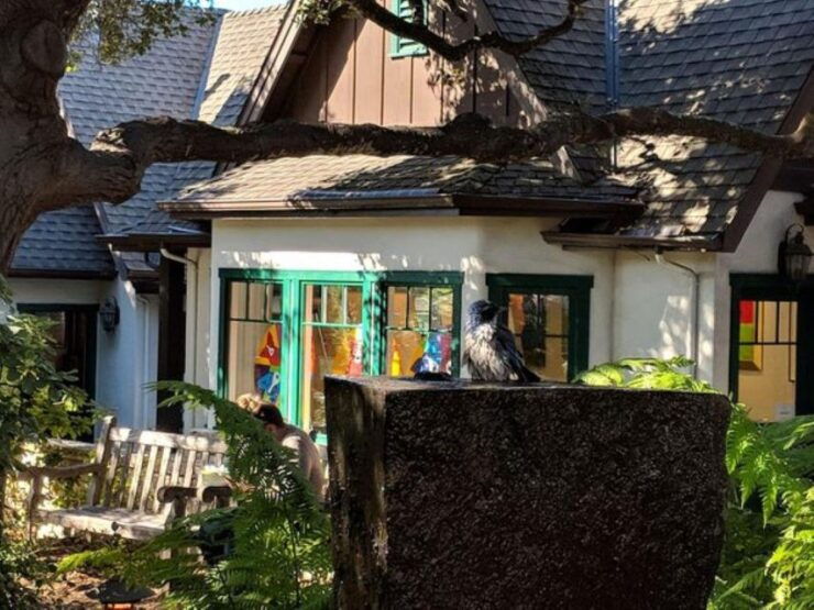 San Francisco:Private Monterey, Carmel and Big Sur Day Trip - Exploration of Monterey Bay