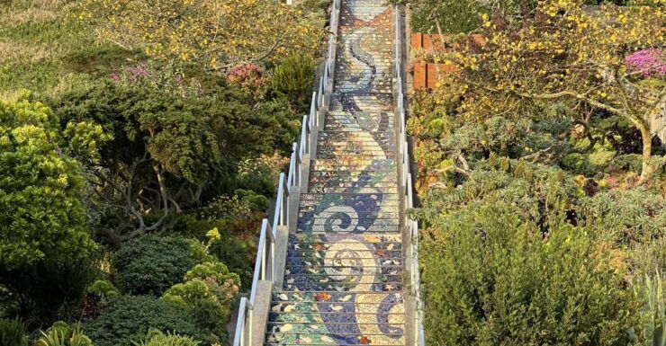 San Francisco's Wild Side, Ecotour With Meteorologist - Experience Highlights
