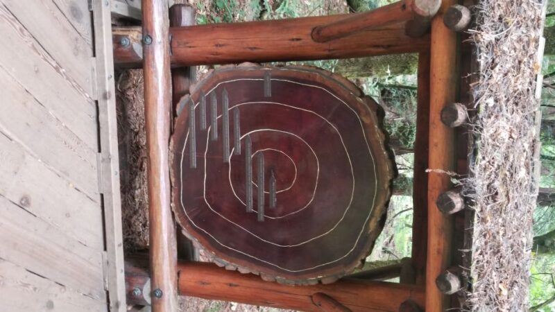 San Fransico: Muir Woods & Marin Headlands Private Tour - The Sum Up