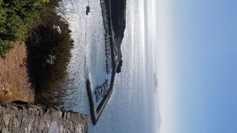 San Fransico: Muir Woods & Marin Headlands Private Tour - FAQs