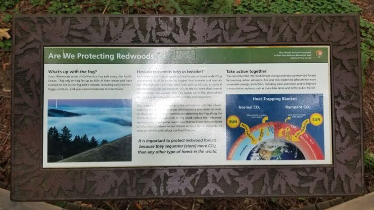 San Fransico/Sausalito: Muir & Marin Headlands Private Tour - Inclusions and Important Information