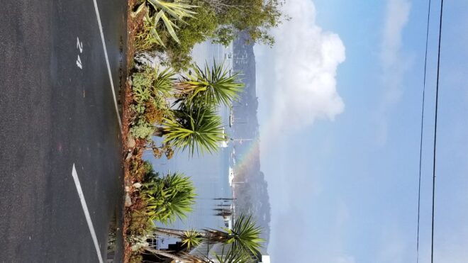 San Fransico/Sausalito: Muir & Marin Headlands Private Tour - Pricing and Availability