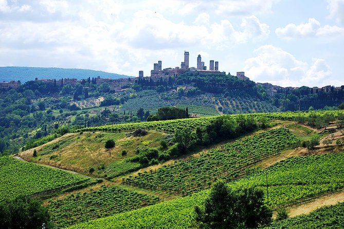 San Gimignano and Chianti Classico Wine and Food PRIVATE TOUR From Florence - Tour Details and Highlights