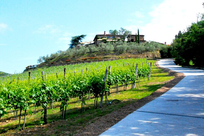 San Gimignano and Chianti Classico Wine and Food PRIVATE TOUR From Florence - Traveler Reviews and Ratings